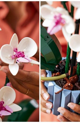 Lego Creator Orchid για 18+ ετών