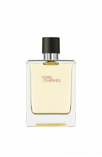 Hermes Terre D` Hermes Eau de Toilette 100ml