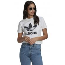 Adidas Adicolor Classics Trefoil